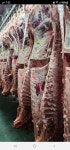 원축산도소매센터
