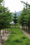 새소리민박