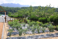 새소리민박