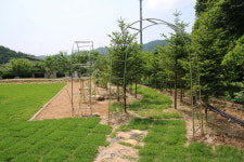 새소리민박