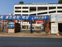 태양손세차