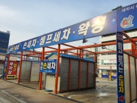 태양손세차