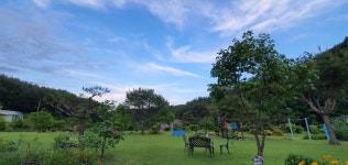 이부바바