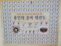 용인대석사웅비태권도장