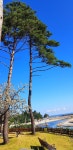 들꽃하우스민박
