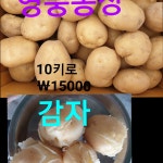 영풍농장