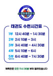 스카이효태권도