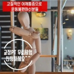 피트니스 결
