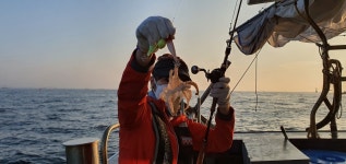 복영이네옷가게 | 복영호