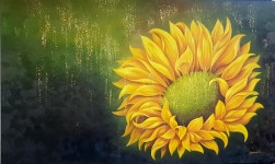샵윤
