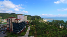 보성다비치콘도