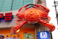장안동 먹깨비 간장게장 해물아구찜