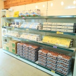 골드팜 계란마켓