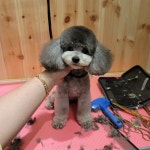 로던트클럽 달콤하니냥