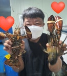 대전실내바다낚시터