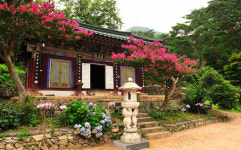 천주봉 캠핑장