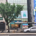 푸른섬한의원