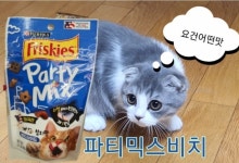 GS25 남양주금곡점