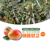 농업회사법인 황금낭