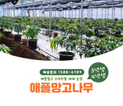 농업회사법인 황금낭