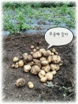 안흥산골농부