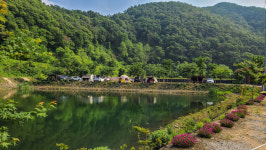 둥지캠핑장