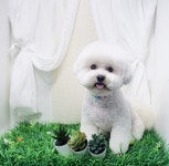 헤어컹컹