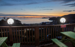 오카소 애견 온수 수영장펜션