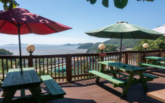 오카소 애견 온수 수영장펜션