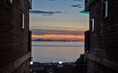 오카소 애견 온수 수영장펜션