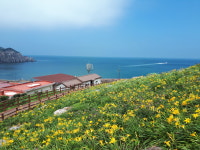 홍도유람선협업