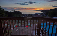 오카소 애견 온수 수영장펜션