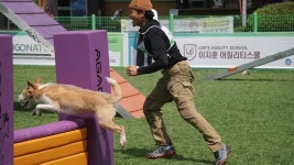 킨더도기 어질리티 훈련소