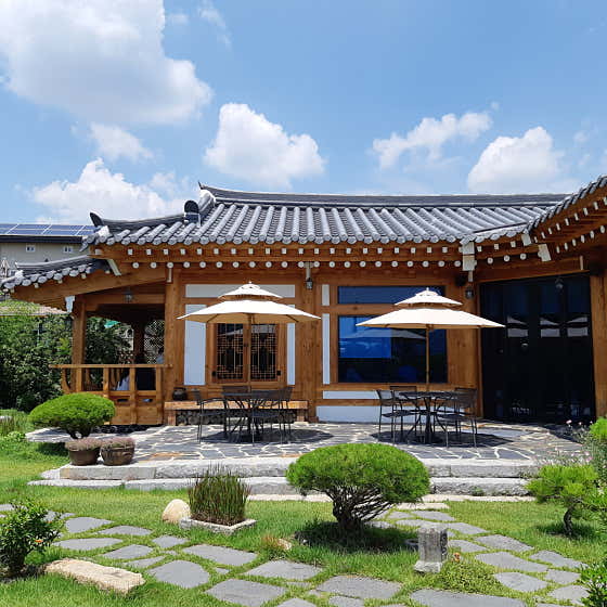 라온가비 사진