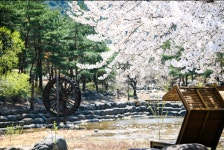 복돌네민박