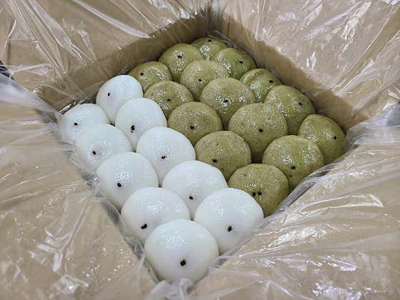 떡애잔기지 사진
