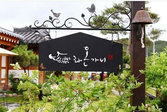 라온가비 사진