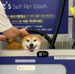 올리스24 여수웅천점