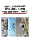 케어드림