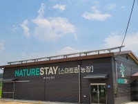 네이쳐 스테이