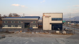 엔티에스