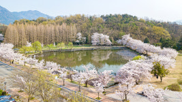 국립창원대학교