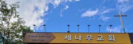 세나무교회