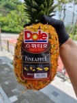 바른 야채청과