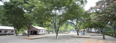 불영계곡캠핑장