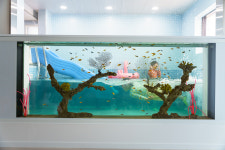 피코 키즈풀빌라 울산점