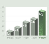 제이엔에이치메디컬