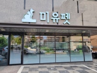 미앤유펫 강아지고양이 원주점