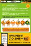 대지농장