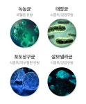 제이엔에이치메디컬